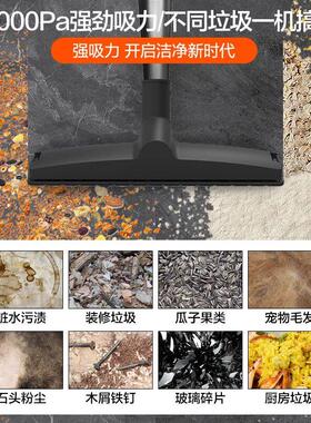 德国进口强吸器家用大吸6263力小型力大功干湿率装修工尘业手持美