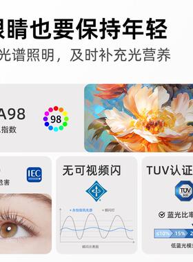 永御SEZ风灯2怡025新款隐形扇风扇灯现代轻奢灯一体吊客厅卧室吊