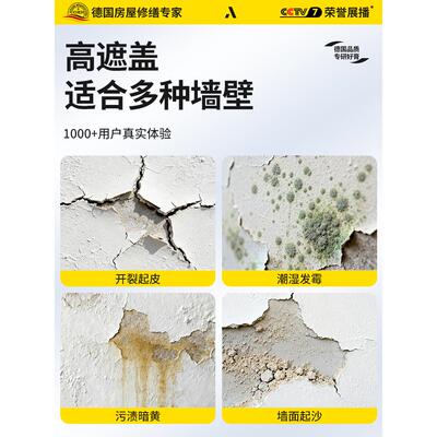 德国ADZ（基补墙膏面修补墙白色腻膏家用防水潮防霉潮湿起皮子脱