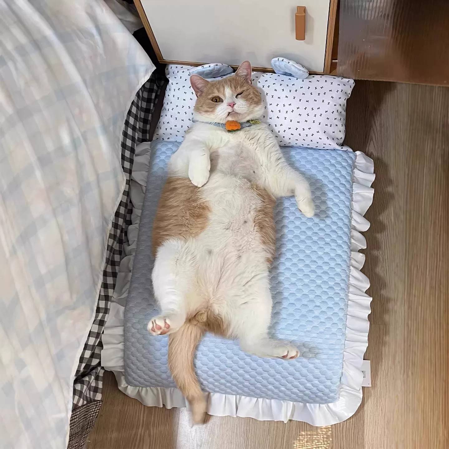 宠物凉垫冰豆豆猫狗通用垫子小兔耳枕头夏季降温小狗睡觉猫窝垫子