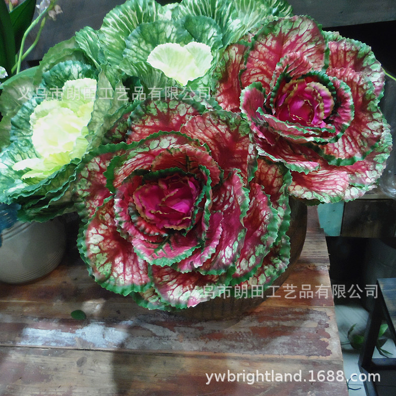 仿真绿植果蔬把束椰菜卷芯菜盆栽装饰盆景植物墙装饰摆放仿真假花