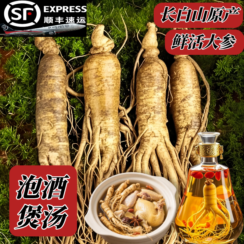 新鲜人参正品官方旗舰店东北长白山特大整支根保鲜泡酒煲汤专用