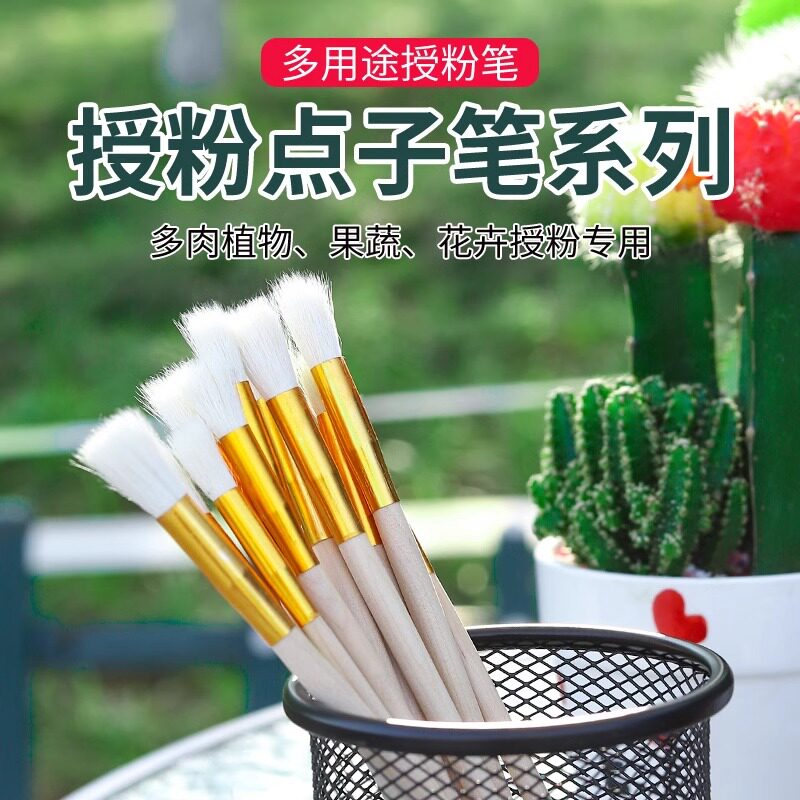 授粉笔人工授粉器草莓多肉猕猴桃果树授粉笔花粉点花授粉工具笔刷