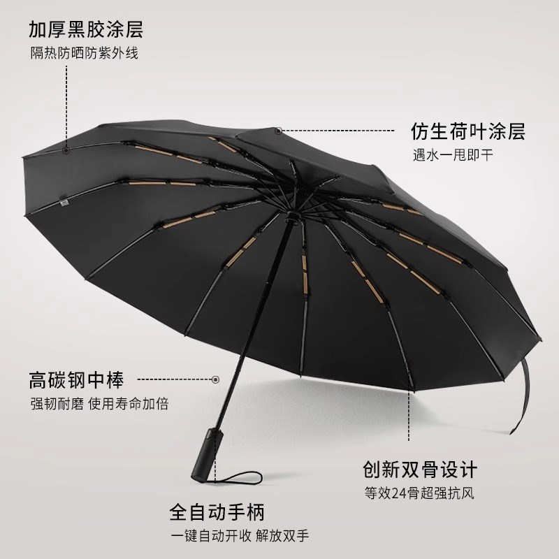 宝迪妮全自动雨伞女晴雨两用男士遮阳伞黑胶双人超大抗风暴加厚