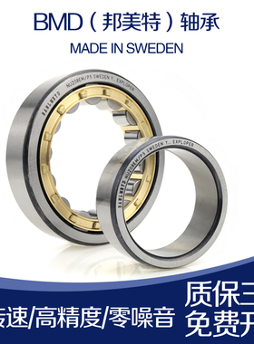 BMD进口圆柱滚子轴承NU1038/1040/1044/203/204/205/206/207EM/P5