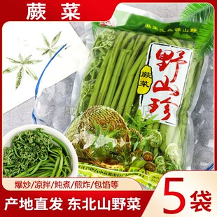 5袋 东北特产蕨菜小兴安岭伊春山野菜保鲜菜山蕨菜袋装 森源450g