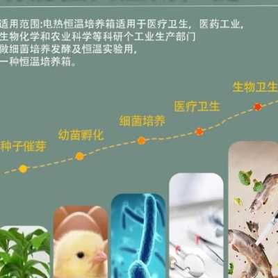 速发电热恒温培养箱实验室小苗催芽器育鼓发芽细胞细菌植物型风干