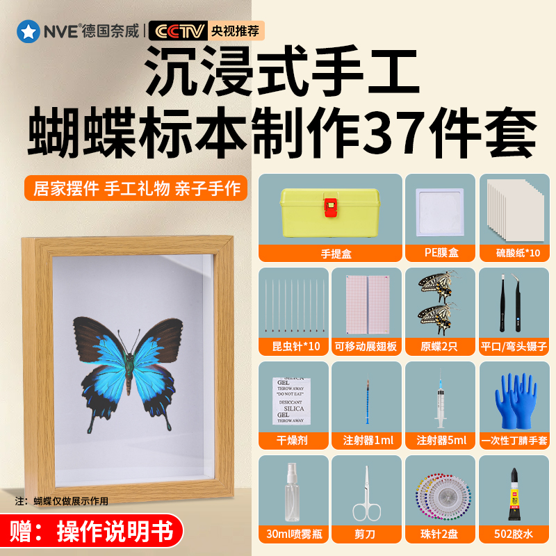速发蝴蝶标本制作工具昆虫标本手针材料包昆虫工展翅盒展示框