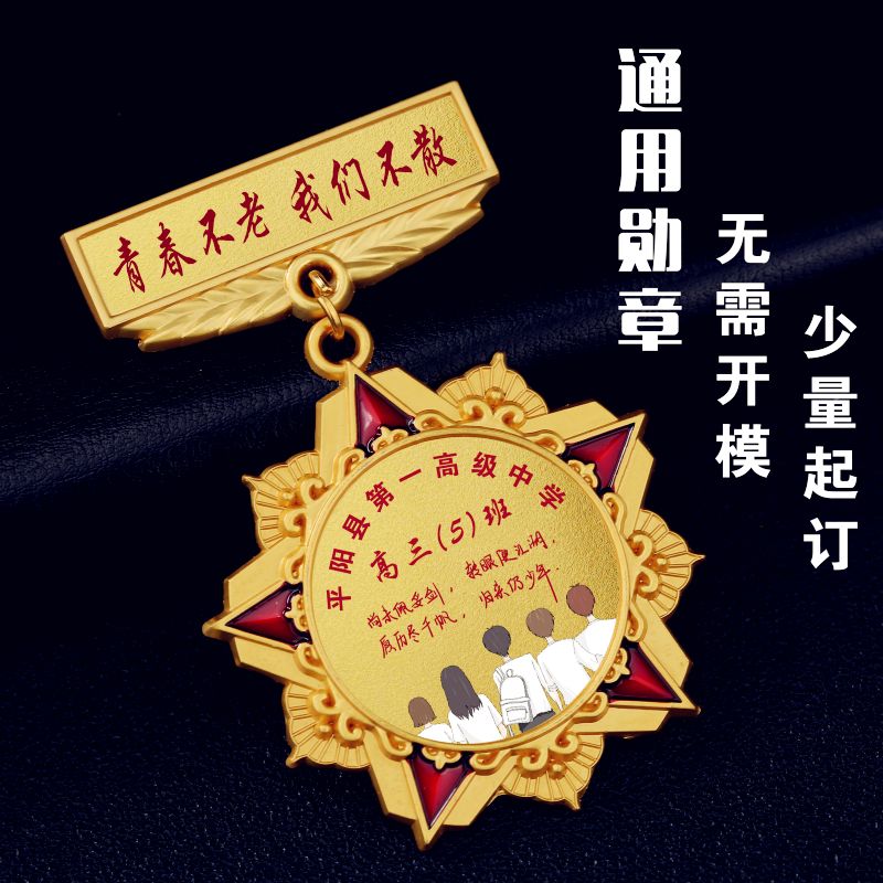 现货速发光荣在党纪念章金属勳章奖牌奖章司徽班徽校徽学生胸