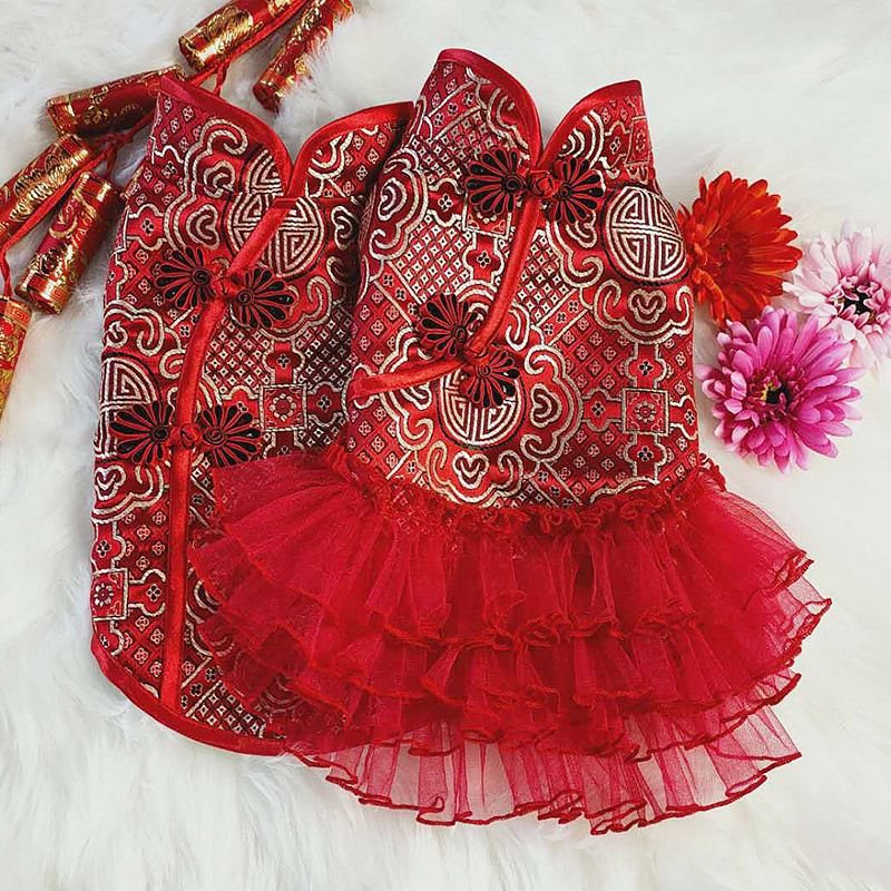 速发Pet puppy dog \a20G0b\u200bos  yo cruple Tug equ