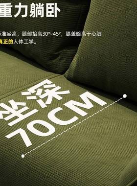 沙发小户型客厅202人5新出款租房卧YFN室双三朵位耳布艺小沙发无