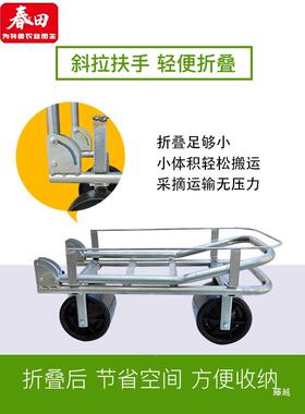 新款便携式大棚瓜果蔬运输车菜懒推水菜工具车折拉TIW叠手推人车