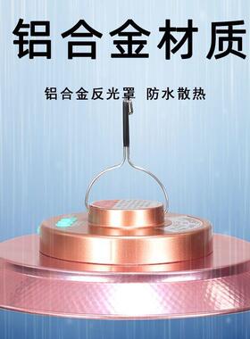 猎一号0F钩8XYK8音乐飞碟灯不锈钢磁力挂18霸度家用照明夜间采摘