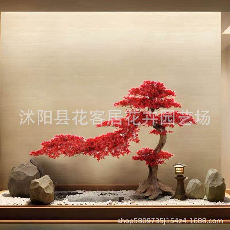 仿假真红树爪槭枫树迎咨询客服客松造型树枫大型鸡室内绿植造景橱