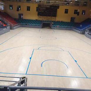 现货篮球木地体运动木地板育FRE室球内篮球羽毛舞板台枫木地板