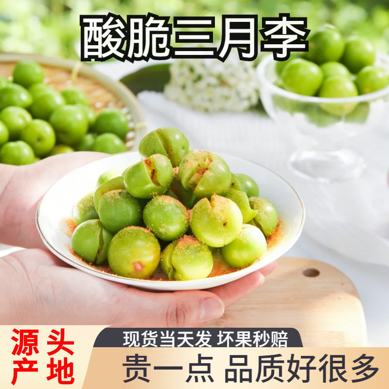 现货三月李子新鲜应当季早熟三华脆李酸李子孕妇水果5斤整箱包邮
