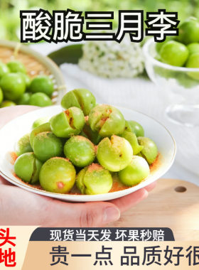 云南三月李新鲜脆甜5斤包邮