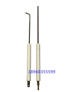 FS20点火电极/FS10点火棒 /离子棒 RIELLO利雅路燃烧机器离子探针