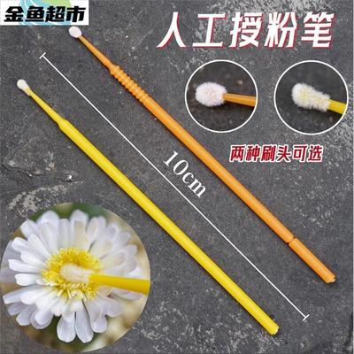 授粉笔罗汉果人工具西红