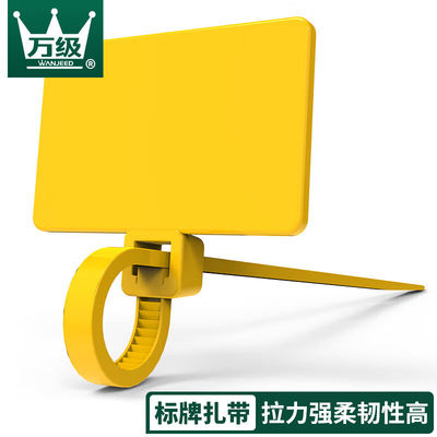 速发级(OFPFTTH)标签扎带自扣式标牌扎带多功能束线捆线理线