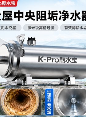 全屋大流量阻垢净化净水过滤器