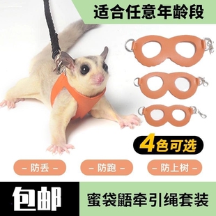 蜜袋鼯外出绳松鼠牵引绳外出衣服背带式外出绳子飞鼠防丢