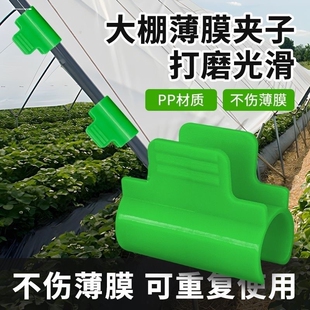 压膜夹卡大棚薄膜架固定配件园艺扣塑料温室花架卡扣种菜架子夹子