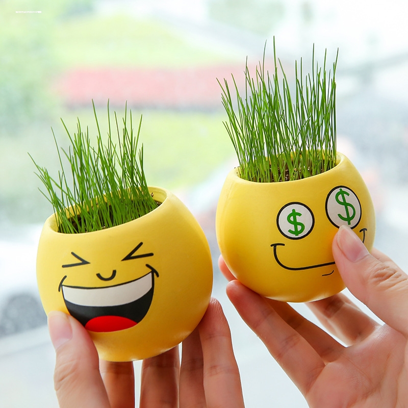 草头娃娃迷你笑脸表情小草盆栽 创意办公室桌面小型植物可爱好养