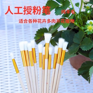 软羊毛不伤蕊授粉笔蜜蜂替代神器瓜果增产伴侣草莓荷花扫花粉新款