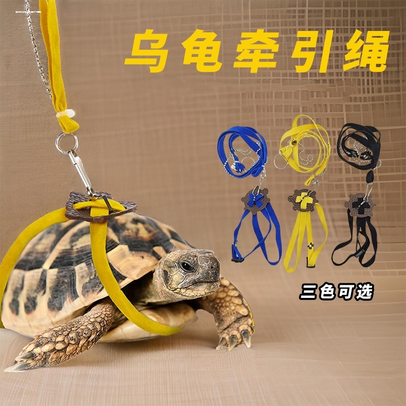 遛龟绳超小体乌龟牵引绳溜龟背心式外出绳草龟陆龟巴西龟溜龟神器