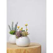 饰品摆件小思型art007彷生植物桌r面盆 装 九 彷真多肉盆栽0假绿植