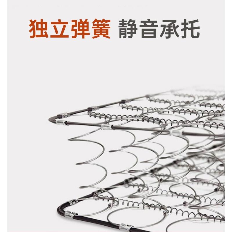 弹床簧垫静1009009厘米独立席梦思音护脊椎家用软椰棕硬垫乳胶软