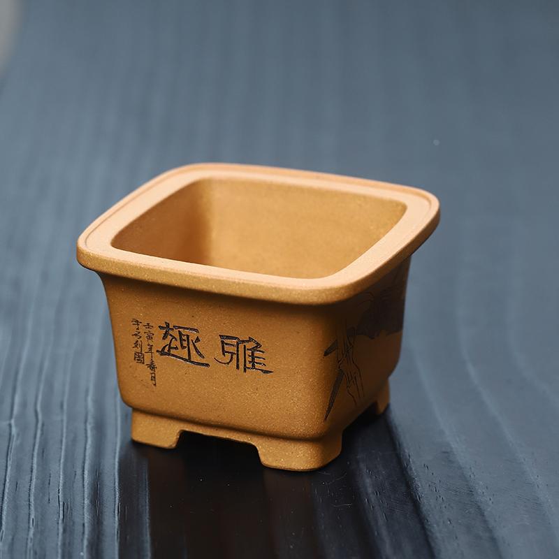 玖紫轩唯珍紫砂花盆精品四方微型刻绘雅趣菖蒲多肉文竹盆景植物盆