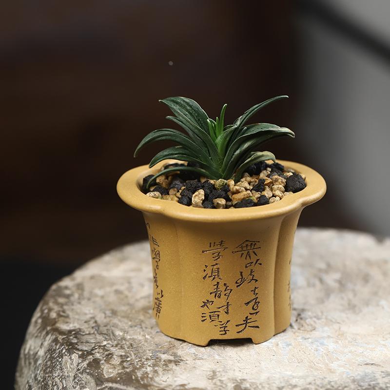 玖紫轩紫砂段泥花盆精品胡剑手工小海棠万年青多肉菖蒲植物桌面盆