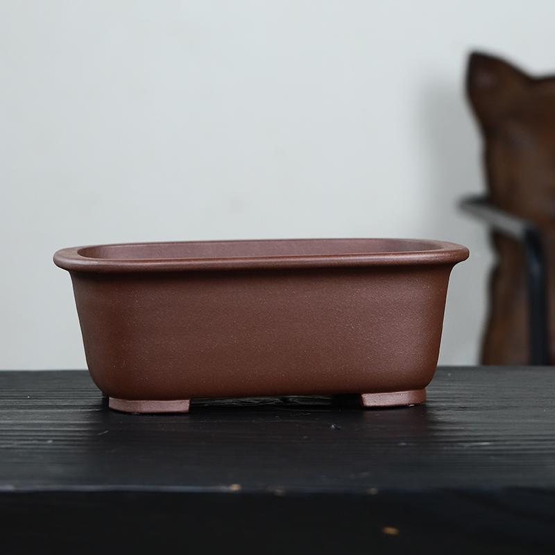 宜兴紫砂花盆精品手工发财树罗汉松竹子盆景盆栽多肉植物室内陶瓷