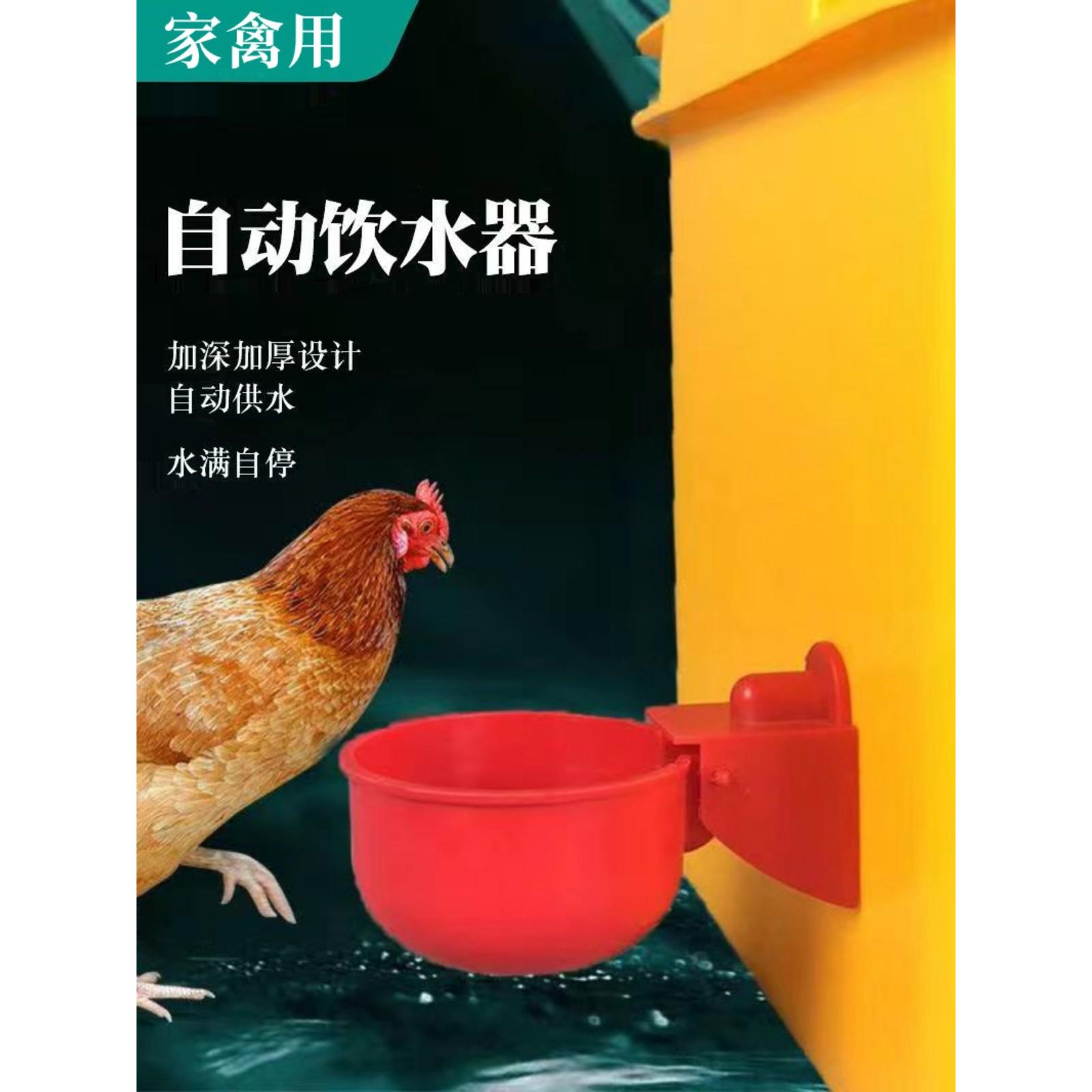 鸡鸭鹅自动水碗饮水器养鸡养殖设备喂鸽子水碗鸟饮水器鹌鹑鸡水槽
