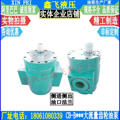 JZ-QB250 200 160 300 WY-RB500 400 F低噪音大流量斜齿轮油泵