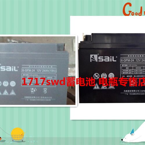 SaiL风帆蓄电池 6-GFM-24 12V24AH/10HR 直流屏电柜 UPS电源电瓶