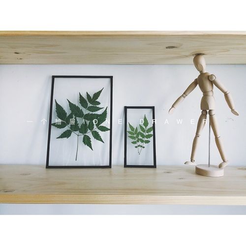 简约相框  特色 回归 植物相框 透明亚克力板树叶标本 diy材料包