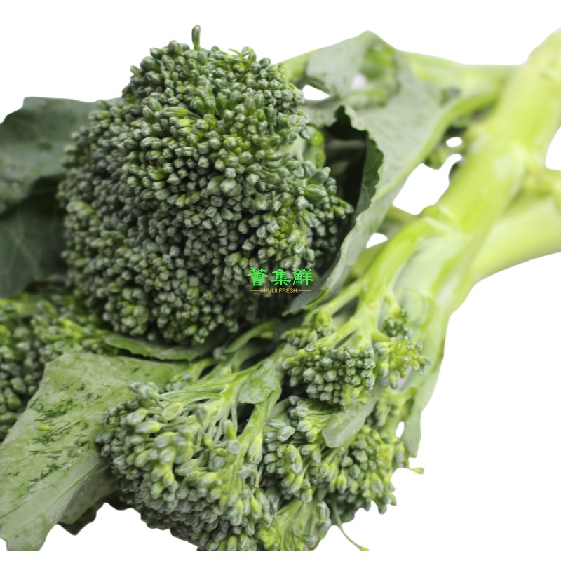 新鲜西兰苔500g xilan moss迷你小西兰花苔broccoli手指西蓝花