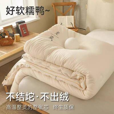 A类母婴级原棉大豆纤维被芯春秋子被加厚冬ENH被棉被通四季用子母