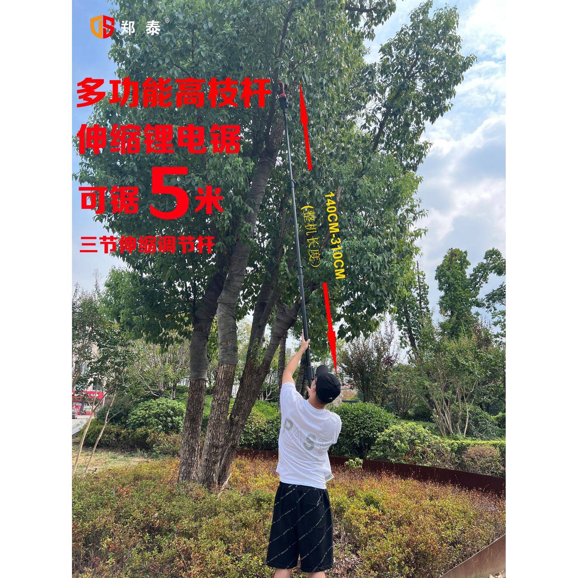 器厂家多功能摘果空器高伸缩采摘高枝锯水AOM剪树枝修果林园果林