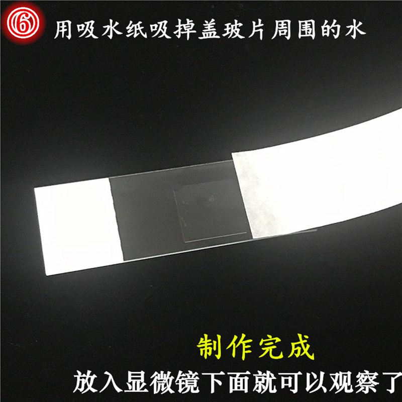 载玻片盖玻片套装标本制作用显微镜生物配件滴管镊子试管玻片切片