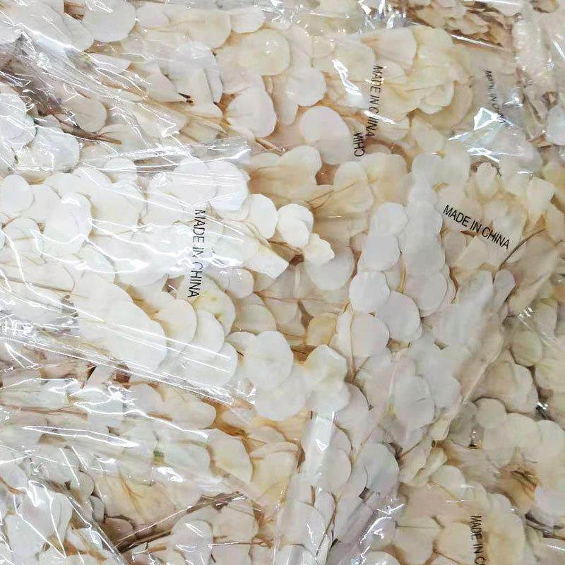 永生苹果叶永生尤加利叶保鲜花束真花客厅插花摆设拍摄道具,家居饰品,餐桌花艺,淘宝优惠券,粉丝福利购,淘宝优惠卷