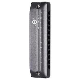 FEIFAN12孔布鲁斯口琴全音阶低音带FaLa初学者成人演奏口琴