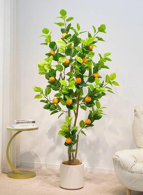 真橙仿树橘子树轻CUD内奢假植物室客厅大型落地子盆栽装饰仿生橙