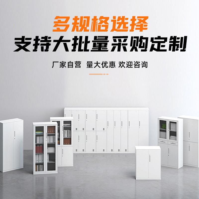 文件柜钢制公室资料收办纳柜铁柜皮带锁财务凭PF-05更证档案柜铁