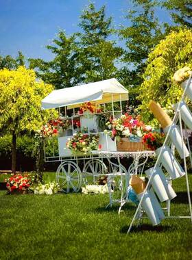 户外铁艺花OYP车移动摆摊落地式展商示场活动摆件花花店装饰摊架