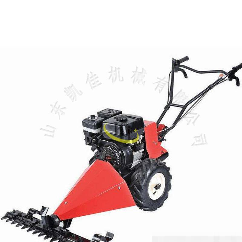 汽油小型剪草机草坪机 手推式汽油剪草机 割草机园林机械设备