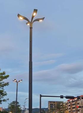 LED电庭路高灯智慧路灯政景231200观灯杆灯院灯市单臂双臂路灯杆